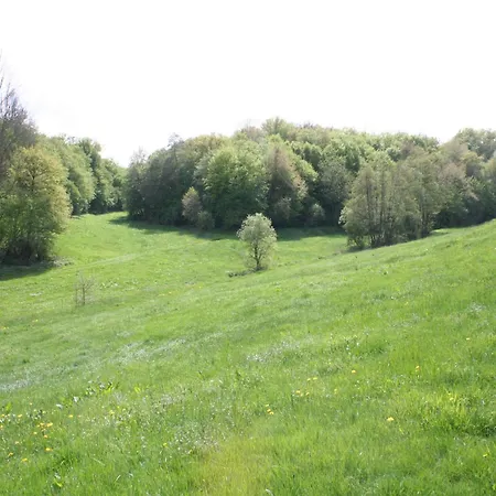 Gemuetliche In Kaifenheim, Cleaning Included Kaifenheim