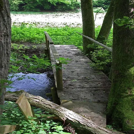 Gemuetliche In Kaifenheim, Cleaning Included *